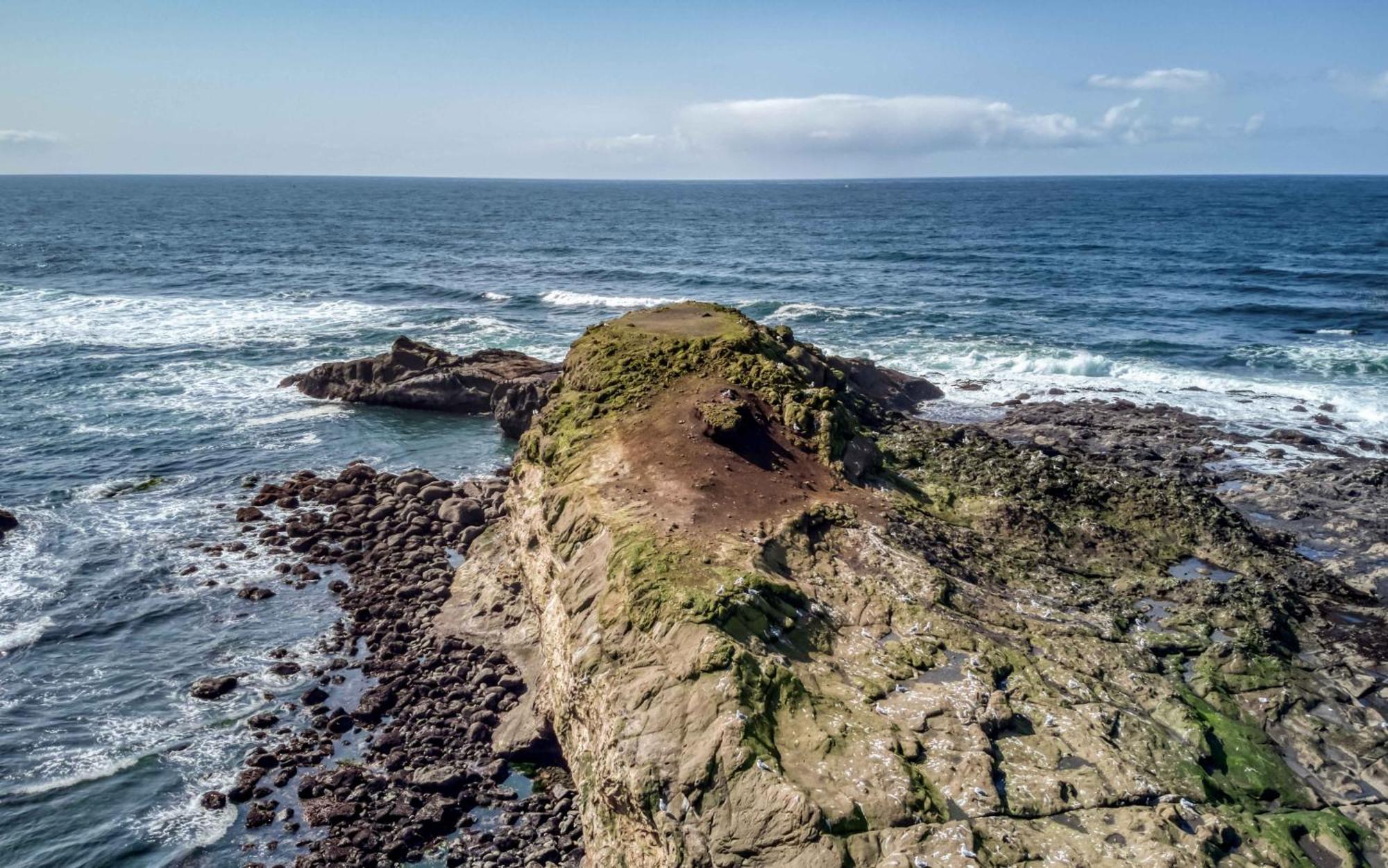Whale'S Paradise Depoe Bay Eksteriør bilde